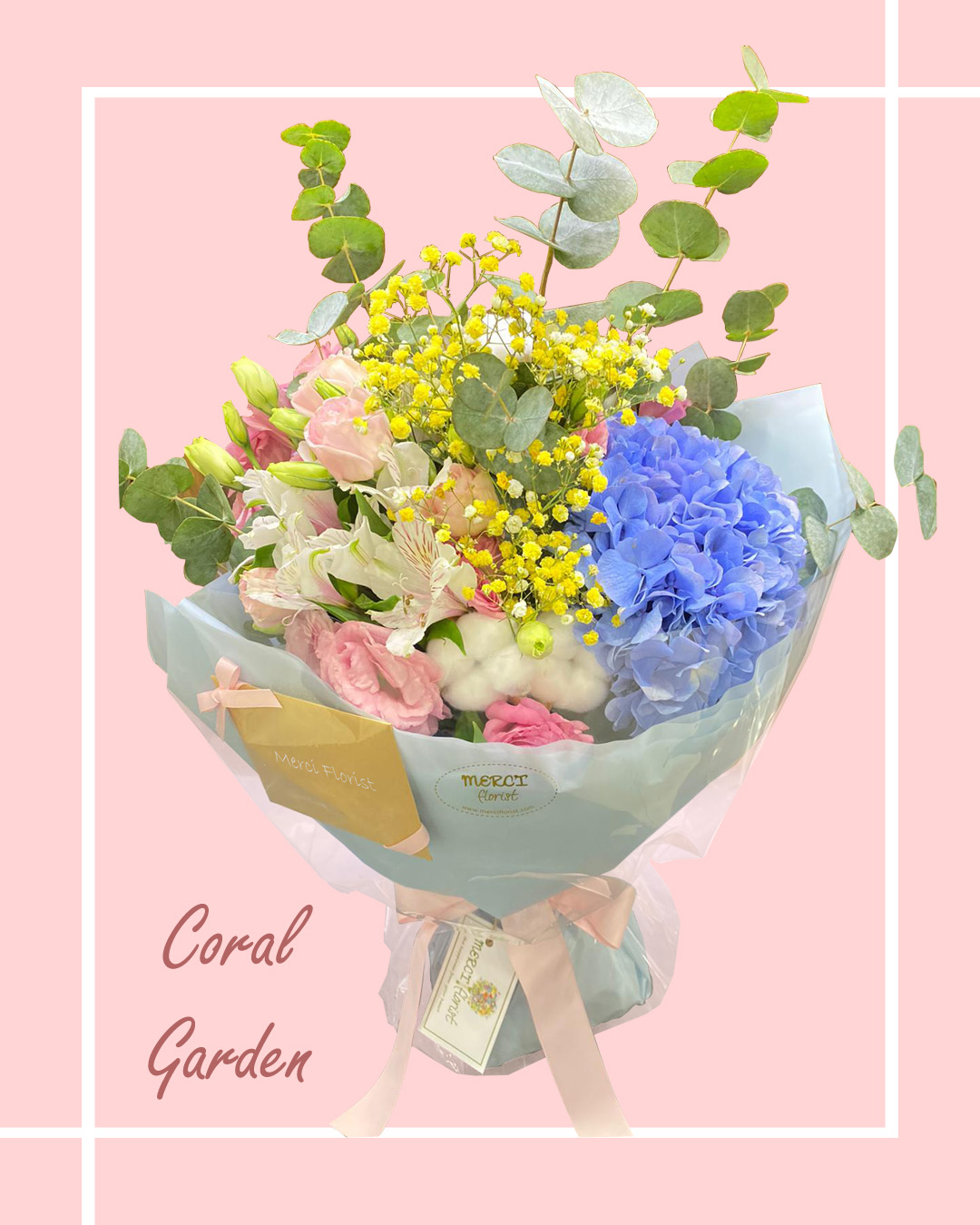 Coral Garden